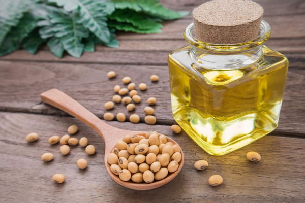 مرکز فروش روغن سویا خام و تصفیه شده + گالن 20 لیتری